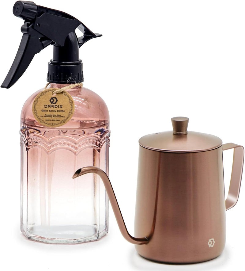 OFFIDIX Watering Can for Indoor Plants Long Spout Metal Stainless Steel 21 oz/600 ml Small Watering Can with 14 oz/400ml Glass Plant Mister Spray Bottle for Plants Bonsai - Image 1